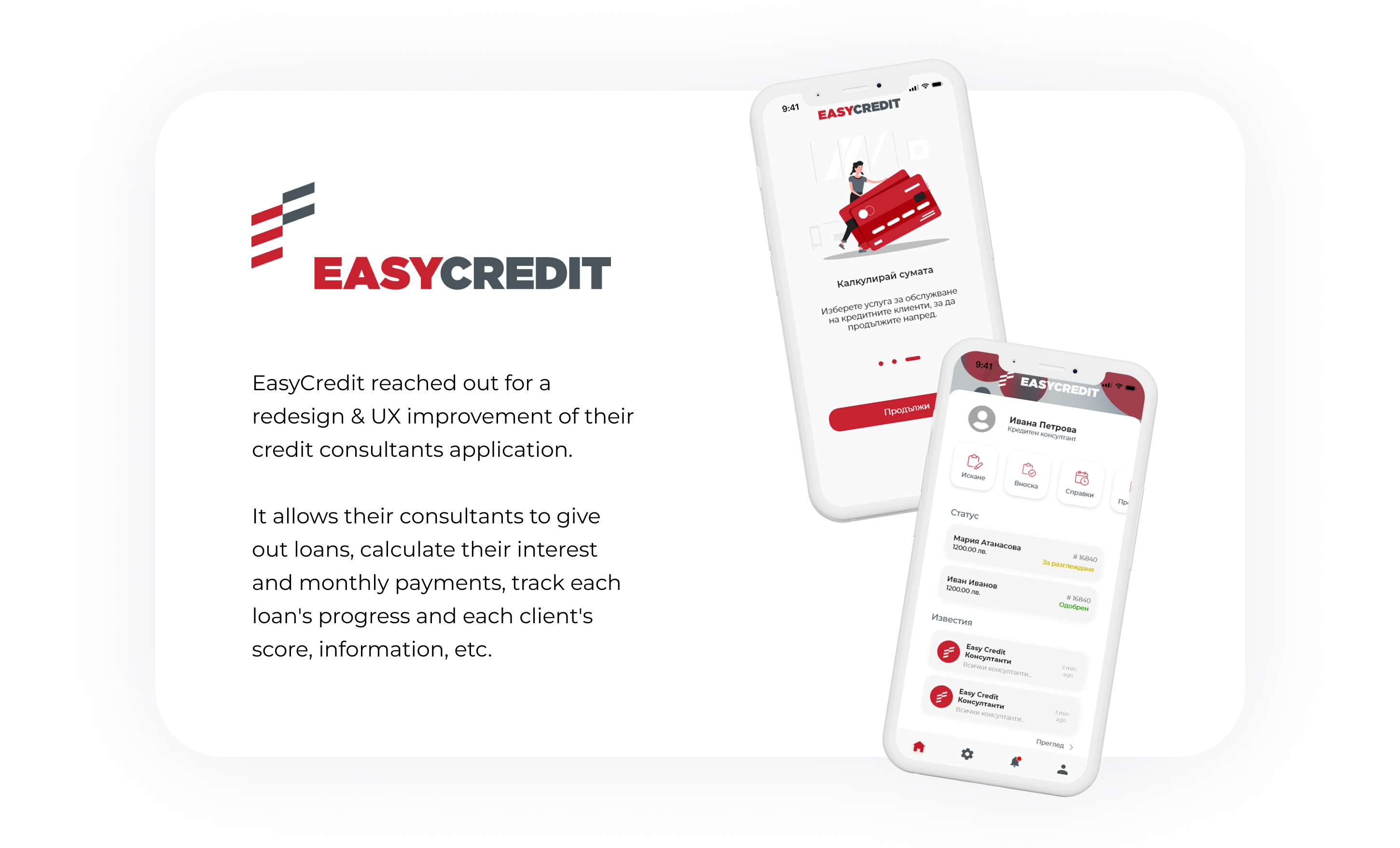 Easy Credit project overview